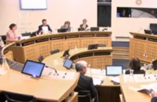 HSE 'made eejits of' Government by appointing PwC to review National Children's Hospital costs