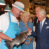 Prince Charles and Camilla to take in the sights of Wicklow