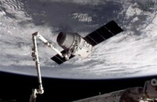 VIDEO: "Looks like we got us a Dragon by the tail"