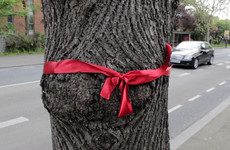 South Dublin locals have been tying ribbons to trees in protest at the BusConnects plan