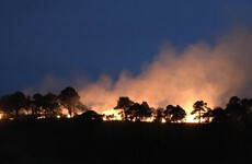 Deliberate fire in Wicklow Mountains' 'Coronation Plantation' sparks probe