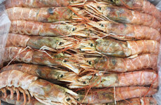 Warning issued over 'severe and increasing' threat to native crayfish species