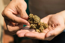 Poll: Should Ireland decriminalise the possession of drugs for personal use?