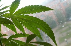 Two charged over cannabis seizure in Donegal