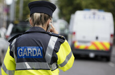 Man found dead with gunshot wounds beside car that had been set alight in north Dublin