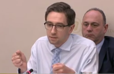 Harris says there are no plans to legalise cannabis in Ireland