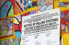 Exit poll shows Greens will top European poll in Dublin amid big gains for the party