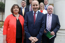 The Euro elections aren't looking great for FF and a veteran ex-MEP says 'lessons weren't learned'