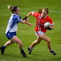 Relentless Cork lay down championship marker with 24-point win over Waterford