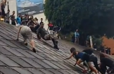 VIDEO: Brazilian Slutwalk marchers accost man after he exposes himself