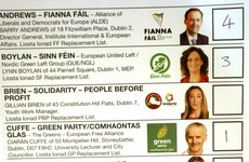 Poll: Should Ireland introduce a public education programme to teach people how to vote correctly?