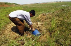 North Korea reports serious drought