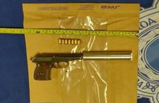 Gardaí find handgun with fitted silencer in wooded area in Blanchardstown