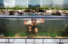 'This will shock people': The underwater garden with a warning about plastics in our oceans