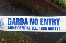 Gardaí find shotgun cartridges and items purporting to be firearms in west Dublin