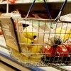 Grocery sales fall by 0.2 per cent