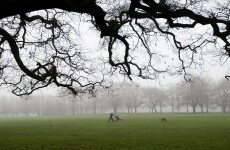 Dublin park-goers hoping to train warned about permits