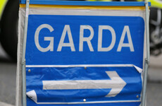 Gardaí investigating hit-and-run in Louth as a 'deliberate act of endangerment'