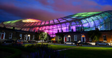 The Aviva Stadium has been lit up with a difference this week