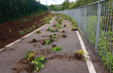 Garda investigation launched after newly opened Cork park vandalised overnight
