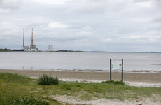 How many Dublin beaches are affected by the current bathing ban? It's the week in numbers