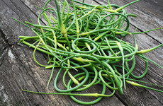 From the Garden: There are very few commercial growers left but you can buy direct from some of them