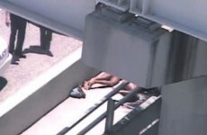 Police look for witnesses to face-chewing attack