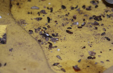 Garda Recreation Club closed after rodent droppings found in kitchen, bar and carvery areas
