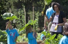 Michelle Obama's first book dishes the dirt... on her garden