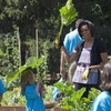 Michelle Obama's first book dishes the dirt... on her garden