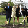 A 'friendship tree' planted by Trump and Macron last year has died