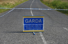 Man (60s) dies after car he was driving struck a pole in Co Galway