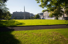 Poll: Should the Leinster House lawn be let grow into a wild meadow?