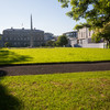 Poll: Should the Leinster House lawn be let grow into a wild meadow?
