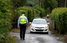 Investigation underway after two men killed in light aircraft crash in Kildare