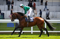 Weekend Tips: Son of Sea The Stars can swell the coffers ahead of Ascot