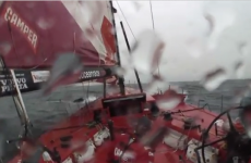 VIDEO: Team New Zealand swerve to avoid whale in Volvo Ocean Race