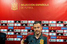 Spain appoint new coach as Enrique steps down for personal reasons