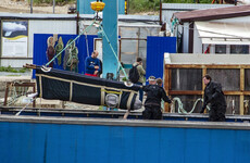 Russia to release 100 illegally captured whales from 'jail'