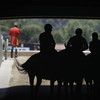 Hall of Fame trainer banned as Santa Anita’s troubled season ends with 30 horse deaths