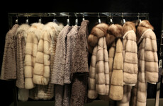 Government plans to 'phase out' fur farming in Ireland