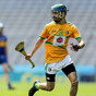 'It's been a long journey' - From war-torn Iraq to All-Ireland glory with Leitrim hurlers