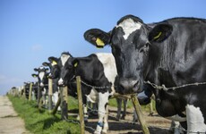 Why a new trade deal between EU and South American countries has gone down badly in Ireland