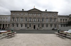 TDs' and senators' salaries cost €19m last year - a 4.5% increase from 2017