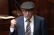 Healy Rae tells ministers to get out of their 'ivory towers' and talk to Irish farming families about EU trade deal