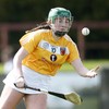 'She was unconscious on the field': Teen camogie player recovering after collision in abandoned game