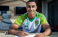 Irish U21 striker signs new contract and joins first-team squad at Norwich City