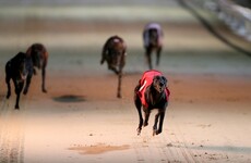 Connolly’s Red Mills withdraws greyhound sponsorship over 'shocking revelations' about industry