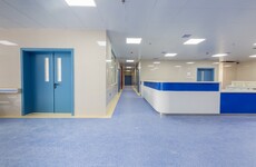 Reform of Ireland's mental health laws delayed as heads of bill not expected until the end of the year