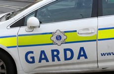 Gardaí find weapons after dispersing large crowd of youths outside Dublin venue